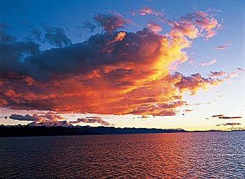 《暗黑地牢2》大型更新希望祭坛上线 新内容新角色